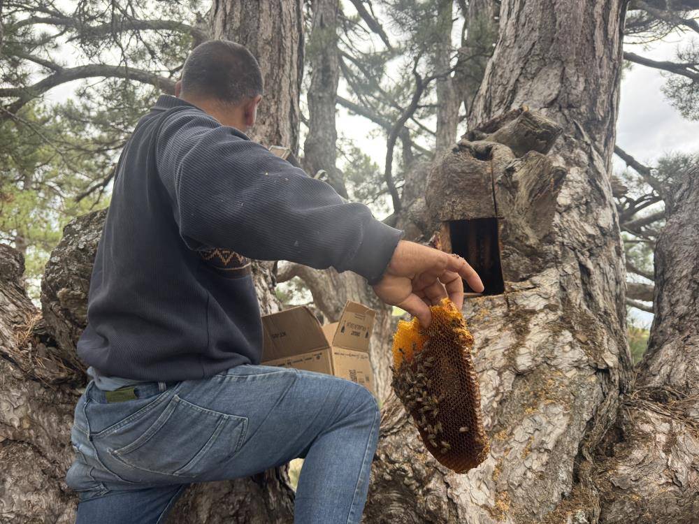 Konya’ya kadar firari izi sürüp hazineye ulaşıyorlar 1